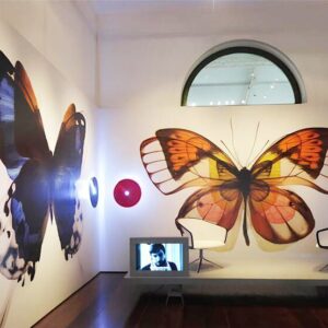 Projeto para a Exposição Todd Bracher: A essência das coisas. Realizada em 2012 pelo Museu da Casa Brasileira. Parceira com a BOOMSPDESIGN. Coordenação geral da Doble Cultura, que também fez a aprovação do projeto junto à Lei Rouanet. Curadoria realizada pelo alemão Albrecht Bangert.
