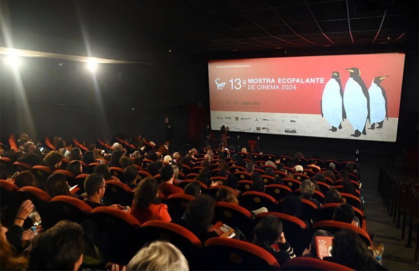 Projeto Mostra Ecofalante de Cinema